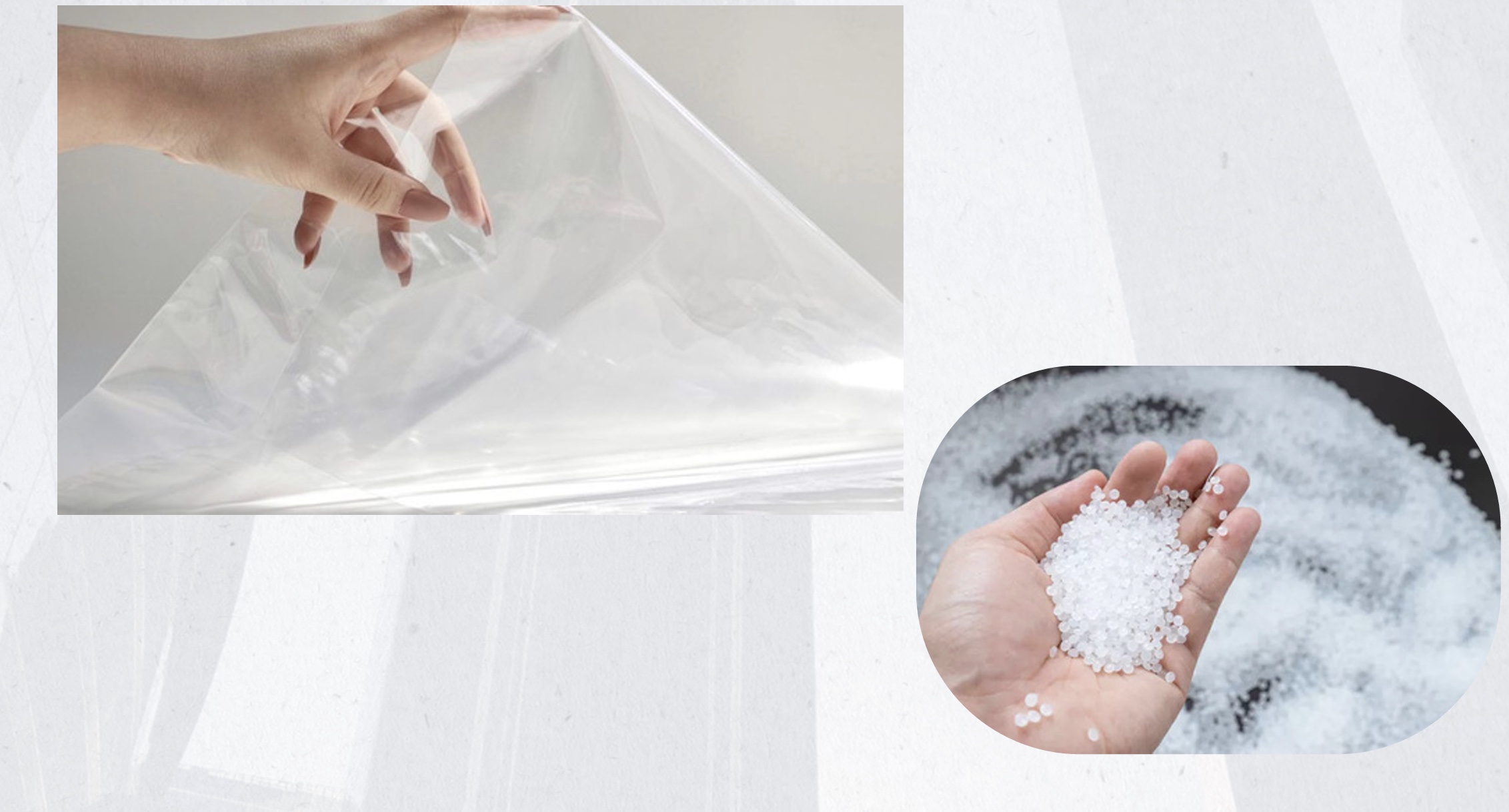 Contoh packaging makanan dan produk retail